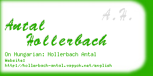 antal hollerbach business card